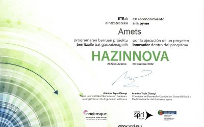 AMETS CARRIES OUT INNOVATION MICROPROYECTS